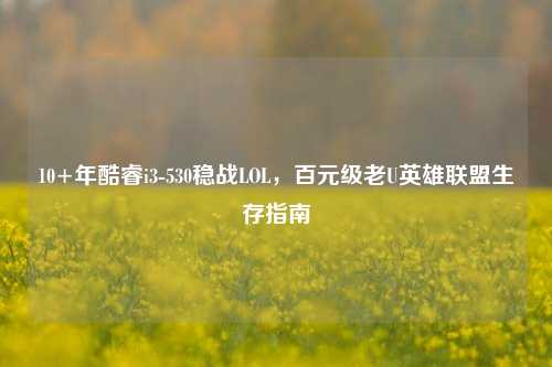 10+年酷睿i3-530稳战LOL,百元级老U英雄联盟生存指南