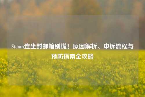 Steam连坐封邮箱别慌!原因解析、申诉流程与预防指南全攻略