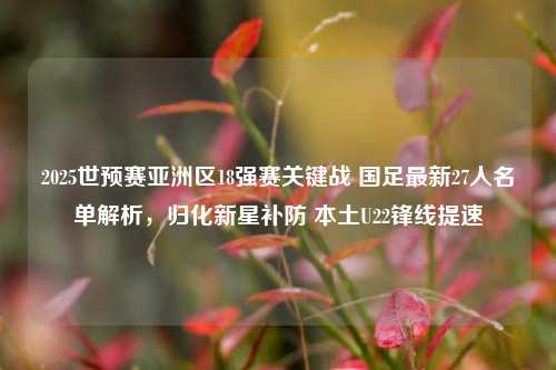 2025世预赛亚洲区18强赛关键战 国足最新27人名单解析,归化新星补防 本土U22锋线提速