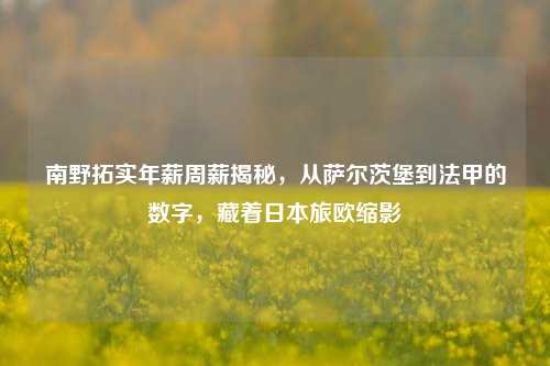 南野拓实年薪周薪揭秘,从萨尔茨堡到法甲的数字,藏着日本旅欧缩影
