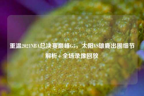 重温2021NBA总决赛巅峰G5,太阳VS雄鹿出圈细节解析+全场录像回放