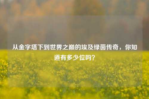 从金字塔下到世界之巅的埃及绿茵传奇,你知道有多少位吗?