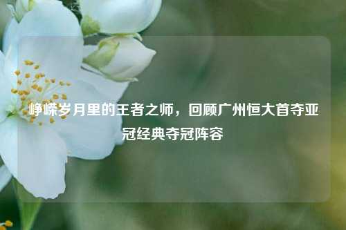 峥嵘岁月里的王者之师,回顾广州恒大首夺亚冠经典夺冠阵容
