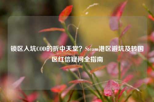 锁区入坑COD的折中天堂?Steam港区避坑及转国区红信疑问全指南