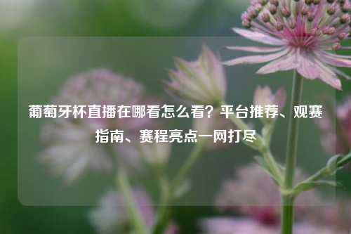 葡萄牙杯直播在哪看怎么看?平台推荐、观赛指南、赛程亮点一网打尽