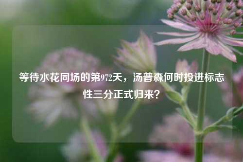 等待水花同场的第972天,汤普森何时投进标志性三分正式归来?