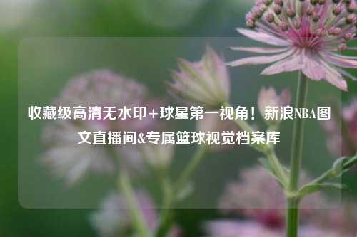 收藏级高清无水印+球星之一视角!新浪NBA图文直播间&专属篮球视觉档案库