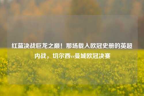 红蓝决战巨龙之巅!那场载入欧冠史册的英超内战,切尔西vs曼城欧冠决赛