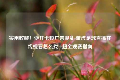 实用收藏!避开卡顿广告混乱 雅虎足球直播在线观看怎么找+超全观赛指南