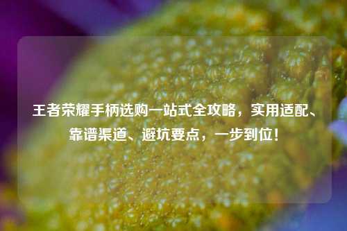 王者荣耀手柄选购一站式全攻略,实用适配、靠谱渠道、避坑要点,一步到位!