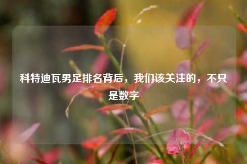 科特迪瓦男足排名背后,我们该关注的,不只是数字