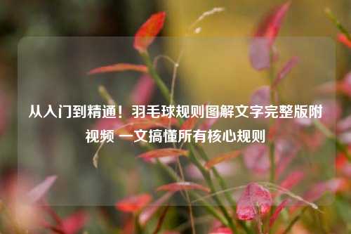 从入门到精通!羽毛球规则图解文字完整版附视频 一文搞懂所有核心规则