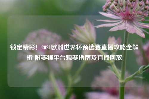 锁定精彩!2021欧洲世界杯预选赛直播攻略全解析 附赛程平台观赛指南及直播回放