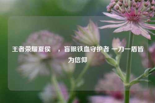 王者荣耀夏侯惇,盲眼铁血守护者 一刀一盾皆为信仰