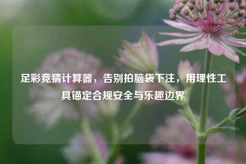 足彩竞猜计算器,告别拍脑袋下注,用理性工具锚定合规安全与乐趣边界