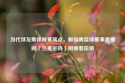 当代球友集体观赛窝点,解锁男篮球赛事直播间「三重密码」附观看指南