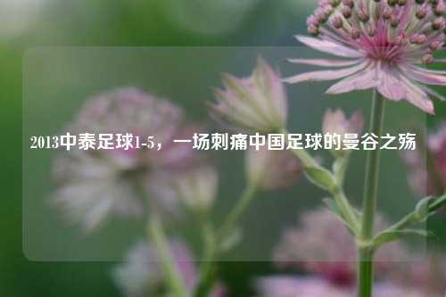 2013中泰足球1-5,一场刺痛中国足球的曼谷之殇