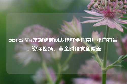 2024-25 NBA常规赛时间表抢鲜全指南!小白扫盲、资深控场、黄金时段党全覆盖