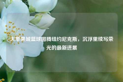大苹果城篮球图腾纽约尼克斯,沉浮里续写荣光的最新进展