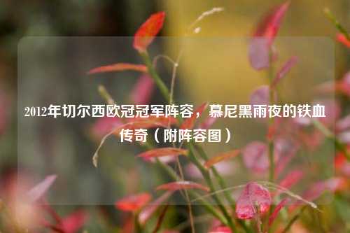 2012年切尔西欧冠冠军阵容,慕尼黑雨夜的铁血传奇(附阵容图)