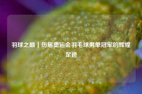 羽球之巅|历届奥运会羽毛球男单冠军的辉煌足迹