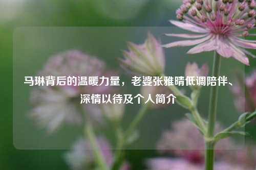 马琳背后的温暖力量,老婆张雅晴低调陪伴、深情以待及个人简介