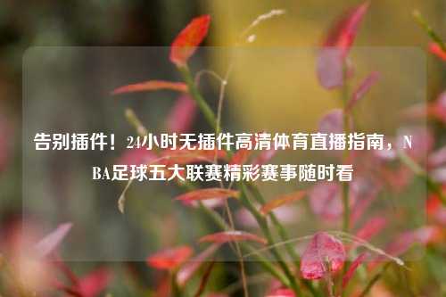 告别插件!24小时无插件高清体育直播指南,NBA足球五大联赛精彩赛事随时看