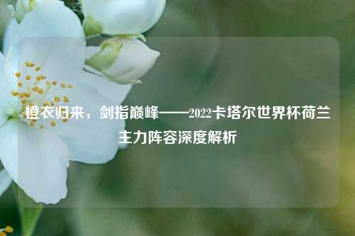 橙衣归来,剑指巅峰——2022卡塔尔世界杯荷兰主力阵容深度解析