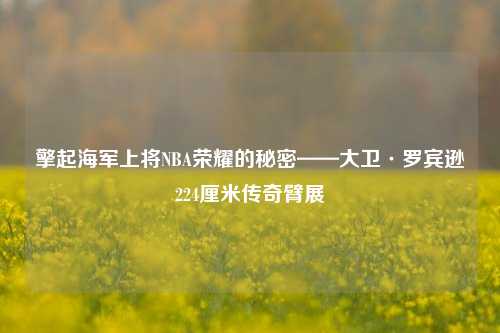 擎起海军上将NBA荣耀的秘密——大卫·罗宾逊224厘米传奇臂展