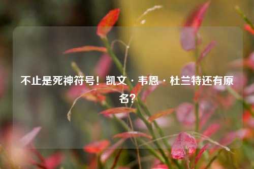 不止是死神符号!凯文·韦恩·杜兰特还有原名?