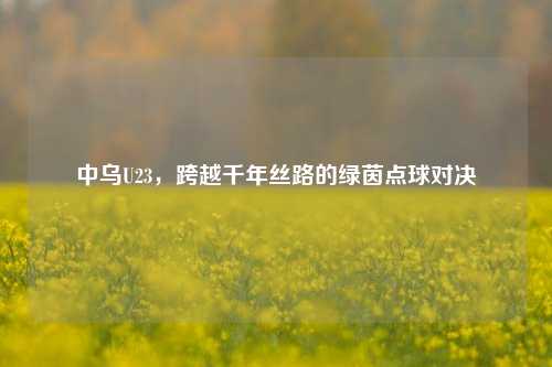 中乌U23,跨越千年丝路的绿茵点球对决