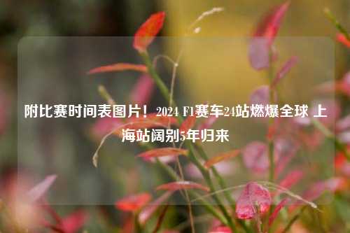 附比赛时间表图片!2024 F1赛车24站燃爆全球 上海站阔别5年归来