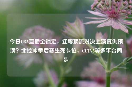 今日CBA直播全锁定,辽粤顶流对决上演复仇预演?北控冲季后赛生死卡位,CCTV5等多平台同步