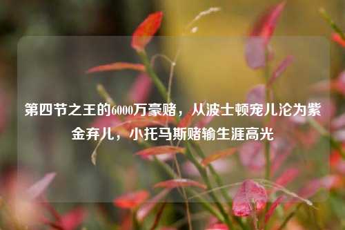 第四节之王的6000万豪赌,从波士顿宠儿沦为紫金弃儿,小托马斯赌输生涯高光
