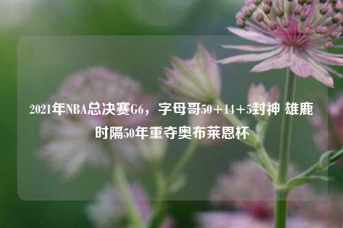 2021年NBA总决赛G6，字母哥50+14+5封神 雄鹿时隔50年重夺奥布莱恩杯