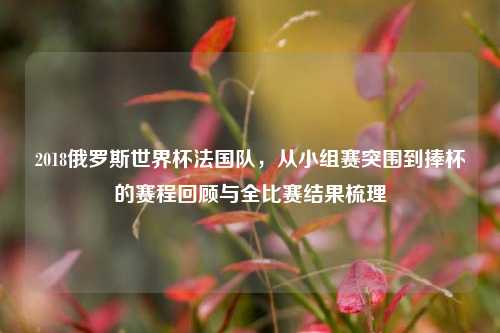 2018俄罗斯世界杯法国队，从小组赛突围到捧杯的赛程回顾与全比赛结果梳理