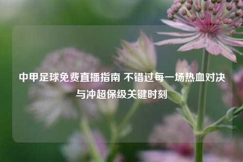 中甲足球免费直播指南 不错过每一场热血对决与冲超保级关键时刻
