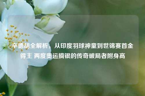 辛德胡全解析,从印度羽球神童到世锦赛首金得主 两度奥运摘银的传奇破局者附身高
