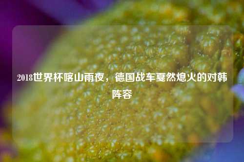2018世界杯喀山雨夜，德国战车戛然熄火的对韩阵容