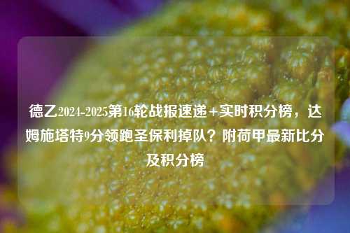 德乙2024-2025第16轮战报速递+实时积分榜，达姆施塔特9分领跑圣保利掉队？附荷甲最新比分及积分榜