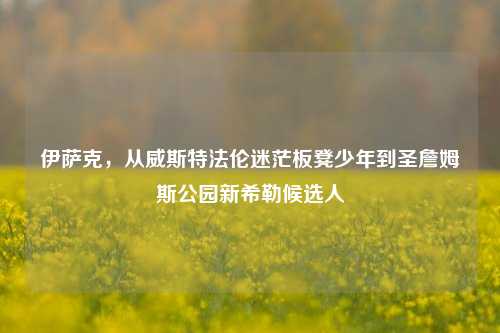 伊萨克，从威斯特***迷茫板凳少年到圣詹姆斯公园新希勒候选人