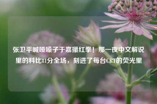 张卫平喊哑嗓子于嘉攥红拳!那一夜中文解说里的科比81分全场,刻进了每台CRT的荧光里