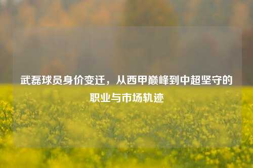 武磊球员身价变迁,从西甲巅峰到中超坚守的职业与市场轨迹