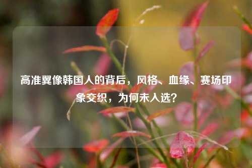 高准翼像韩国人的背后，风格、血缘、赛场印象交织，为何未入选？
