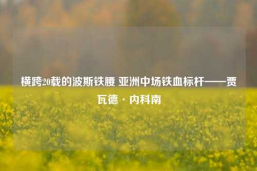 横跨20载的波斯铁腰 亚洲中场铁血标杆——贾瓦德·内科南