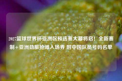 2027篮球世界杯亚洲区预选赛大幕将启！全新赛制+亚洲劲旅抢滩入场券 附中国队员号码名单