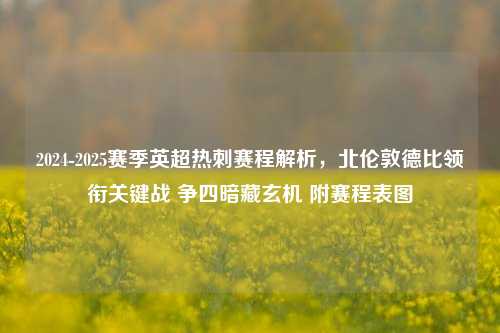 2024-2025赛季英超热刺赛程解析,北伦敦德比领衔关键战 争四暗藏玄机 附赛程表图
