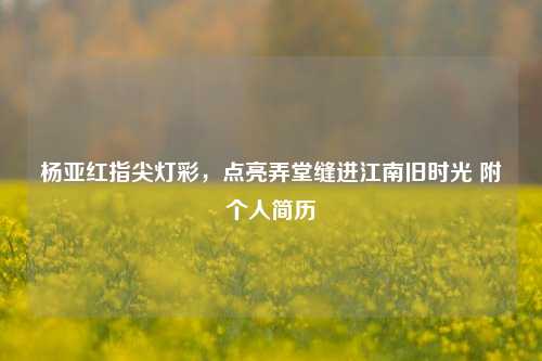 杨亚红指尖灯彩，点亮弄堂缝进江南旧时光 附个人简历