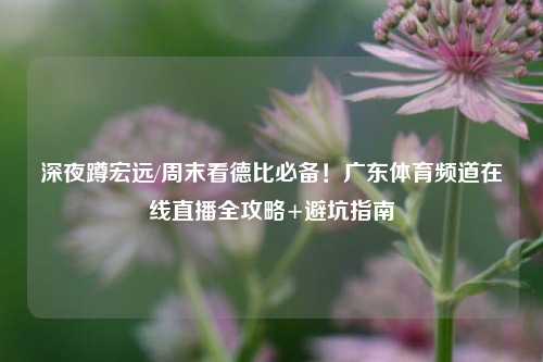 深夜蹲宏远/周末看德比必备！广东体育频道在线直播全攻略+避坑指南