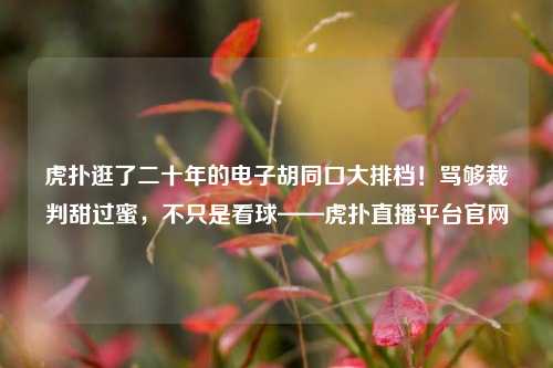 虎扑逛了二十年的电子胡同口大排档!骂够裁判甜过蜜,不只是看球——虎扑直播平台官网